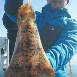 シースナイパー海龍 釣果