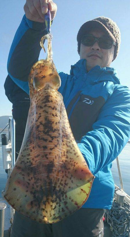 シースナイパー海龍 釣果
