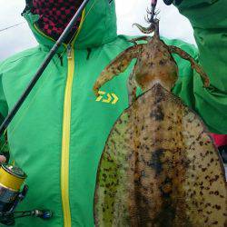 シースナイパー海龍 釣果