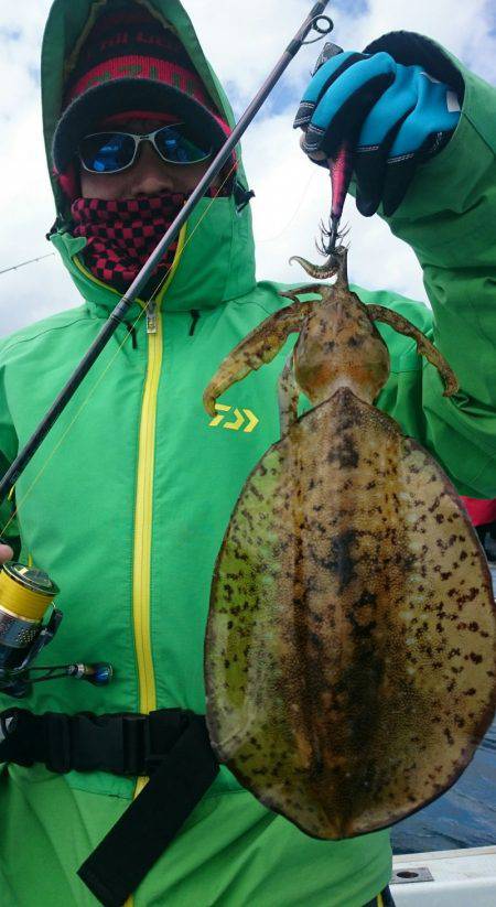 シースナイパー海龍 釣果