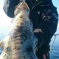 シースナイパー海龍 釣果