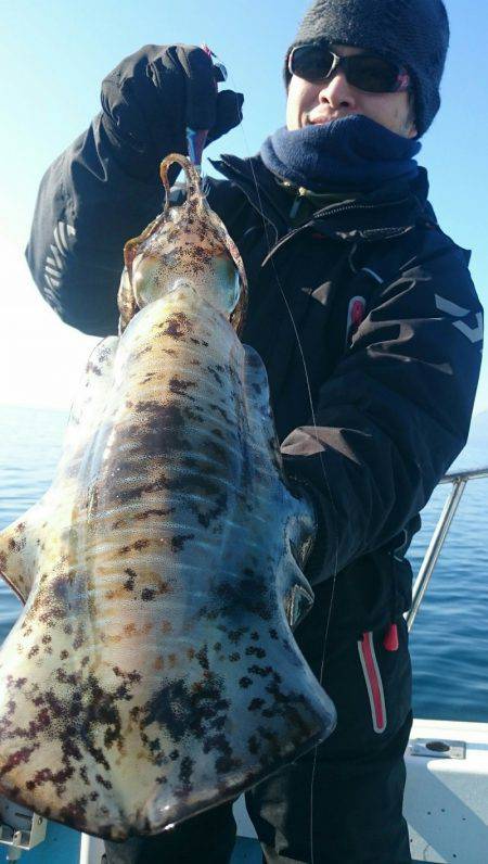 シースナイパー海龍 釣果