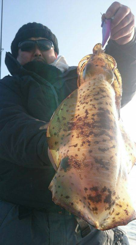 シースナイパー海龍 釣果