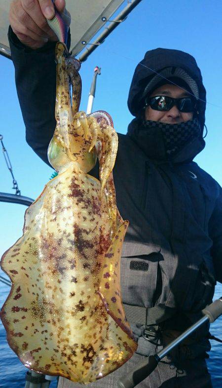 シースナイパー海龍 釣果