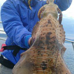 シースナイパー海龍 釣果