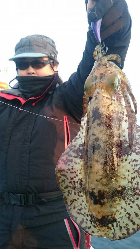 シースナイパー海龍 釣果
