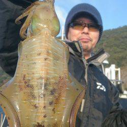 シースナイパー海龍 釣果