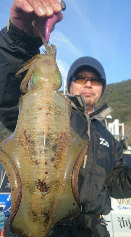 シースナイパー海龍 釣果