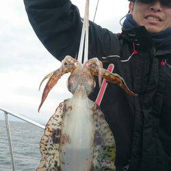シースナイパー海龍 釣果