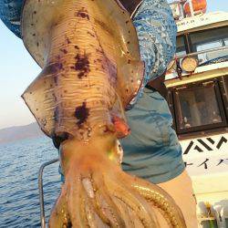 シースナイパー海龍 釣果