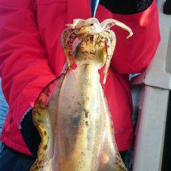 シースナイパー海龍 釣果