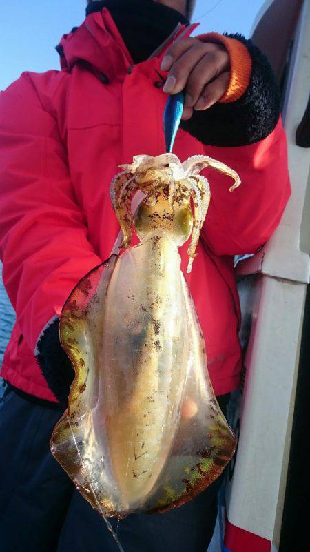 シースナイパー海龍 釣果