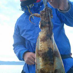 シースナイパー海龍 釣果