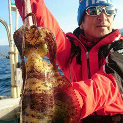 シースナイパー海龍 釣果