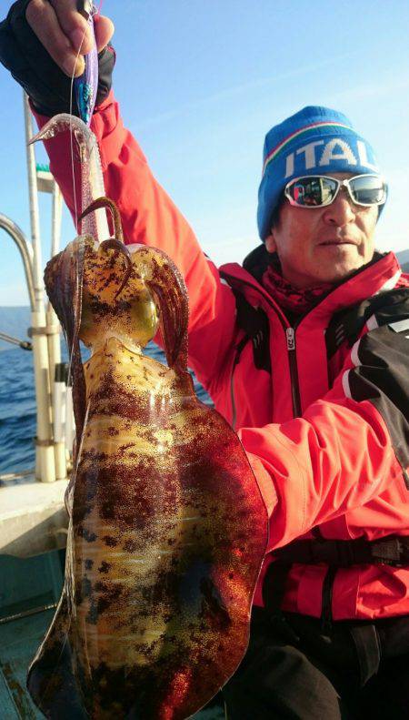 シースナイパー海龍 釣果