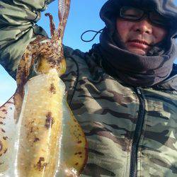 シースナイパー海龍 釣果