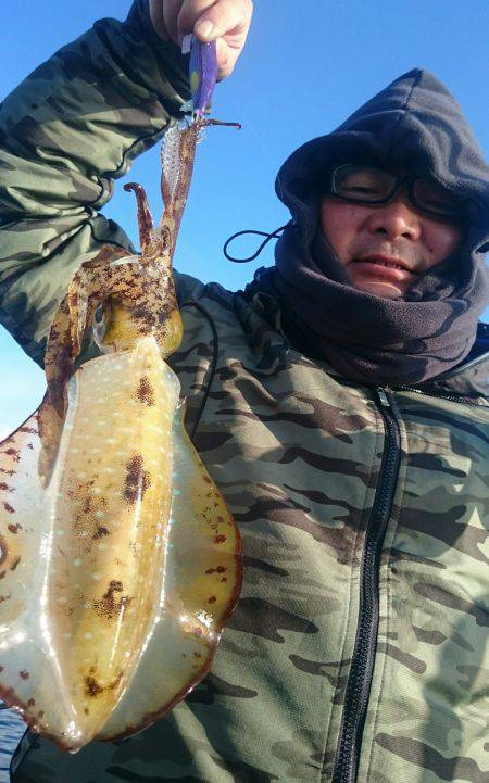 シースナイパー海龍 釣果