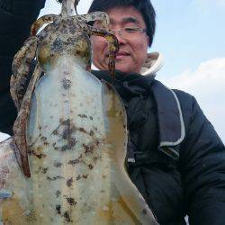 シースナイパー海龍 釣果