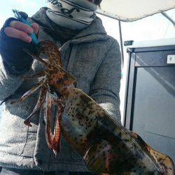 シースナイパー海龍 釣果