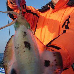 シースナイパー海龍 釣果