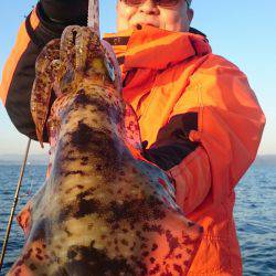 シースナイパー海龍 釣果