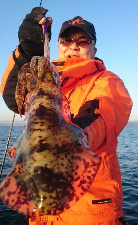 シースナイパー海龍 釣果