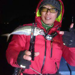 シースナイパー海龍 釣果