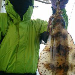 シースナイパー海龍 釣果