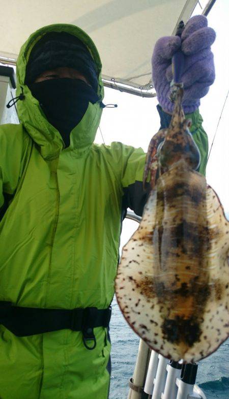 シースナイパー海龍 釣果