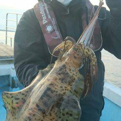 シースナイパー海龍 釣果