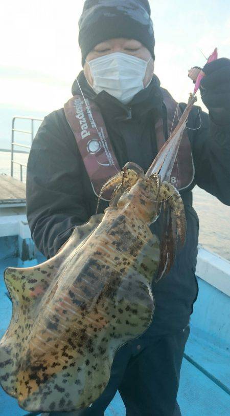 シースナイパー海龍 釣果
