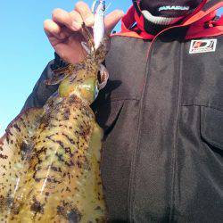 シースナイパー海龍 釣果