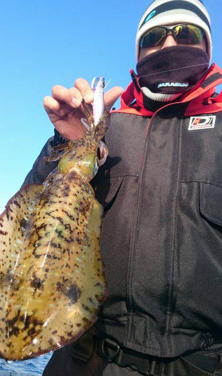 シースナイパー海龍 釣果