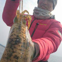 シースナイパー海龍 釣果