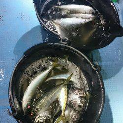 シースナイパー海龍 釣果