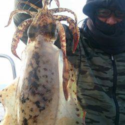 シースナイパー海龍 釣果