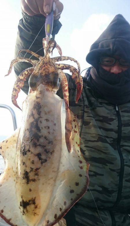 シースナイパー海龍 釣果