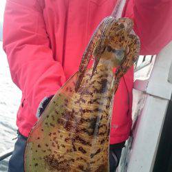 シースナイパー海龍 釣果