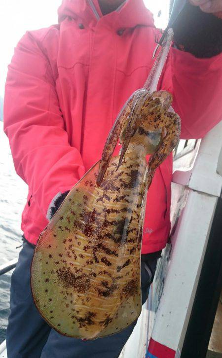 シースナイパー海龍 釣果