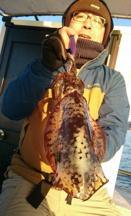 シースナイパー海龍 釣果