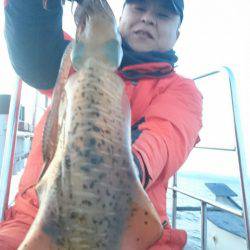 シースナイパー海龍 釣果