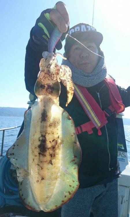 シースナイパー海龍 釣果