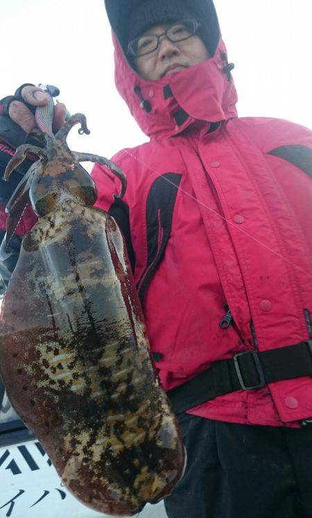 シースナイパー海龍 釣果