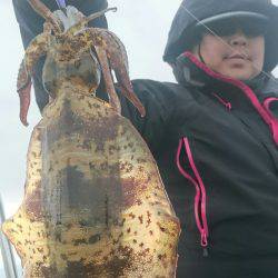 シースナイパー海龍 釣果