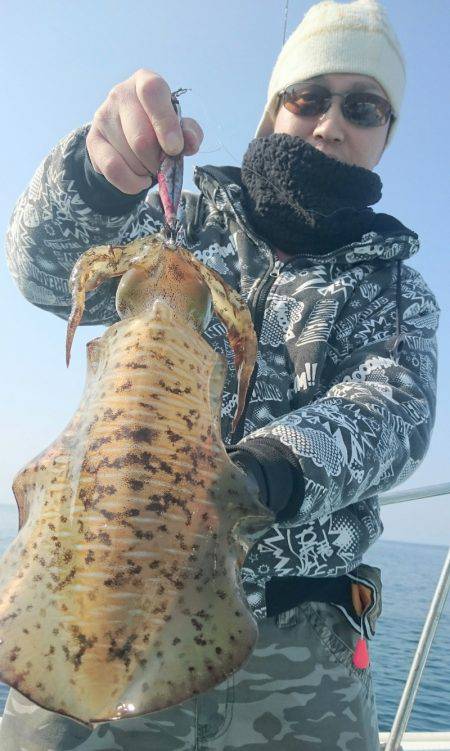 シースナイパー海龍 釣果
