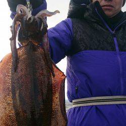シースナイパー海龍 釣果