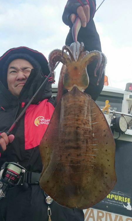 シースナイパー海龍 釣果
