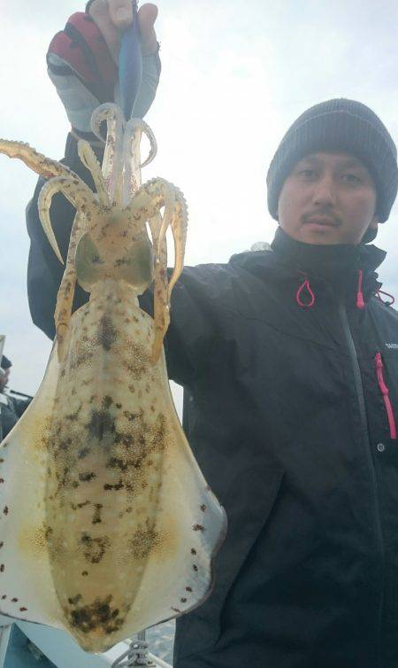 シースナイパー海龍 釣果