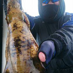 シースナイパー海龍 釣果