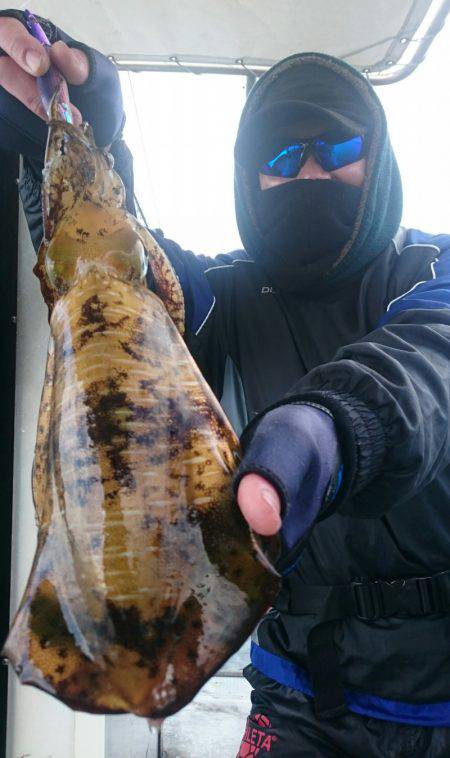 シースナイパー海龍 釣果